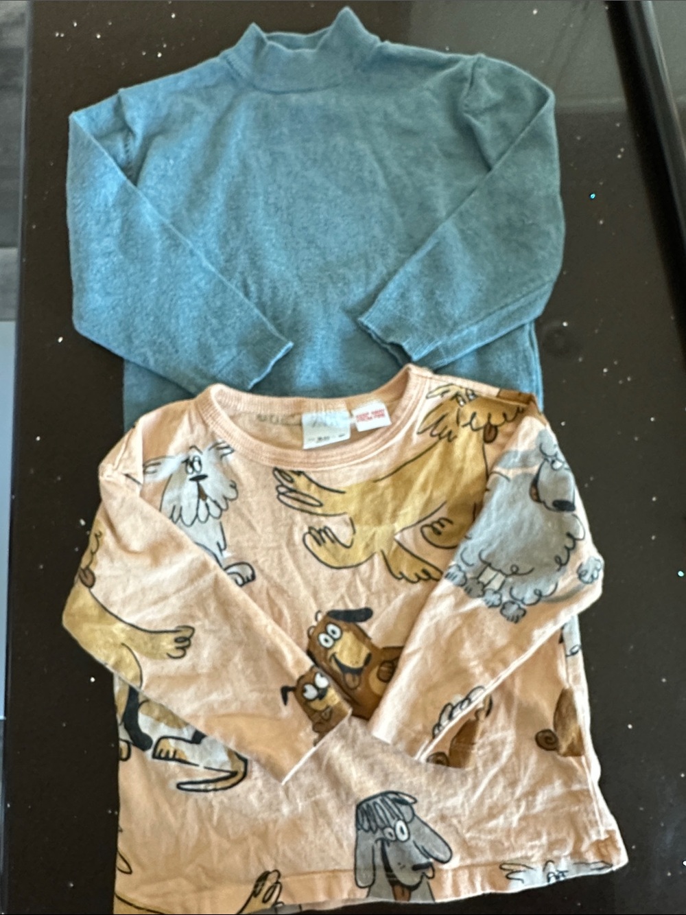 Zara Teal Mock Neck Top & Peach Dog-Print Long Sleeve Tee